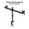 Dvigubas monitoriaus laikiklis 17-32 col. 10 kg rankai