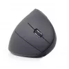 Gembird MUSW-ERGO-01 belaidė optinė pelė, RF, 1600 DPI, dešinei rankai