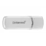 Intenso 128GB USB 3.1 Gen 1 Type-C atmintukas (OTG) 3538491