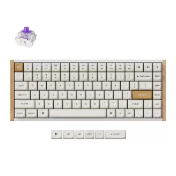Belaidė mechaninė klaviatūra Keychron K2 Special Edition White RGB Backlit, kompaktiškas 75 % išdėstymas