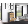 Komoda Topeshop M5 ANTRACYT/ARTISAN 5 stalčių, antracitinis ąžuolas, 700×1095×400 mm