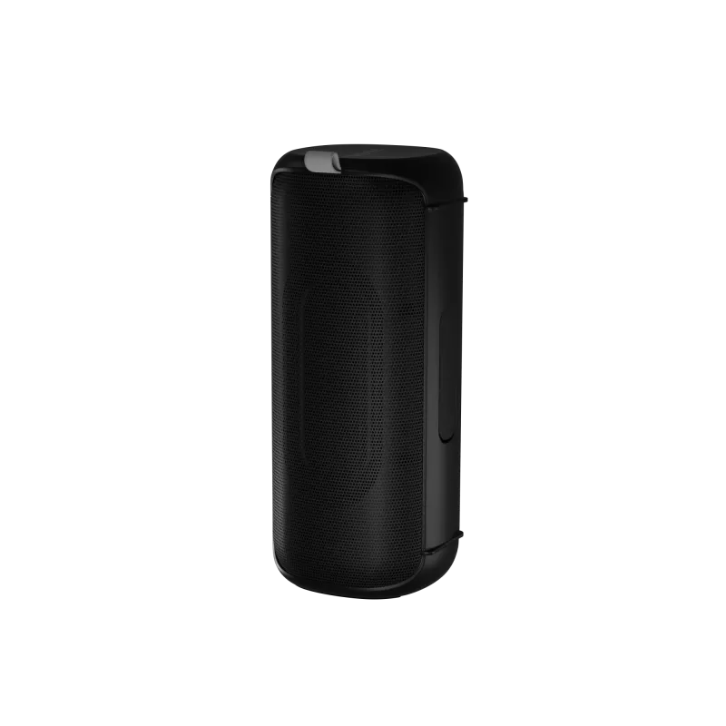 Nešiojamas stereo garsiakalbis Audictus Aurora Pro 20 W