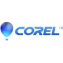 Corel PaintShop Pro 2023 - Dėžutės pakuotė - 1 vartotojas (Mini dėžutė) - Windows - Daugiakalbė - Europa