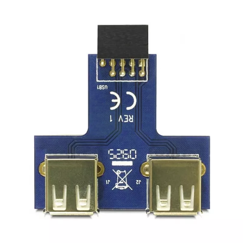DeLOCK 9-pin 2.54 mm 2 x USB 2.0 1 x 9-pin 2.54 mm juoda mėlyna sidabrinė
