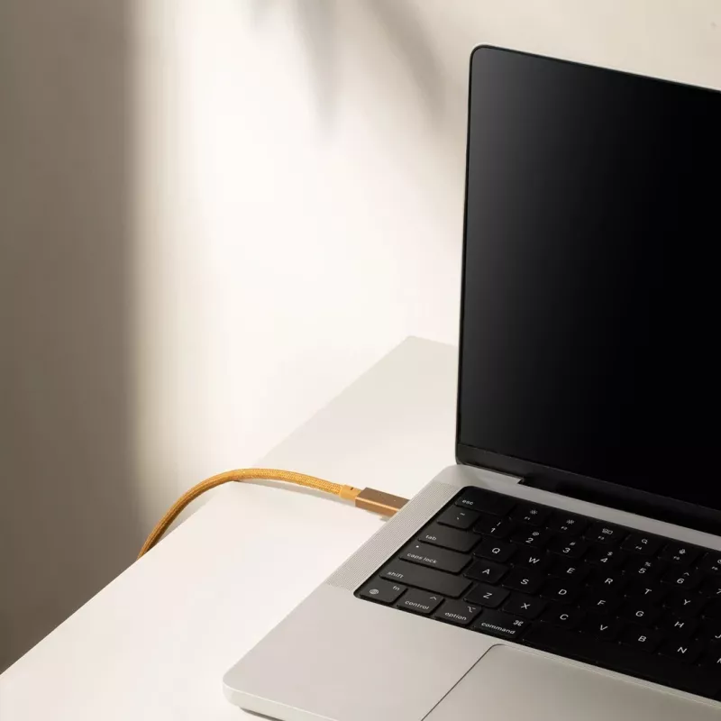Laidas USB-C į USB-C Native Union Belt Cable Pro 240W, 2,4 m, USB 2.0, 0,48 Gbit/s, Žalias