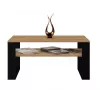 Topeshop MODERN 1P ART CZ kavos / šoninis / kampinis staliukas Kavos staliukas stačiakampė forma 2 koja (-os)