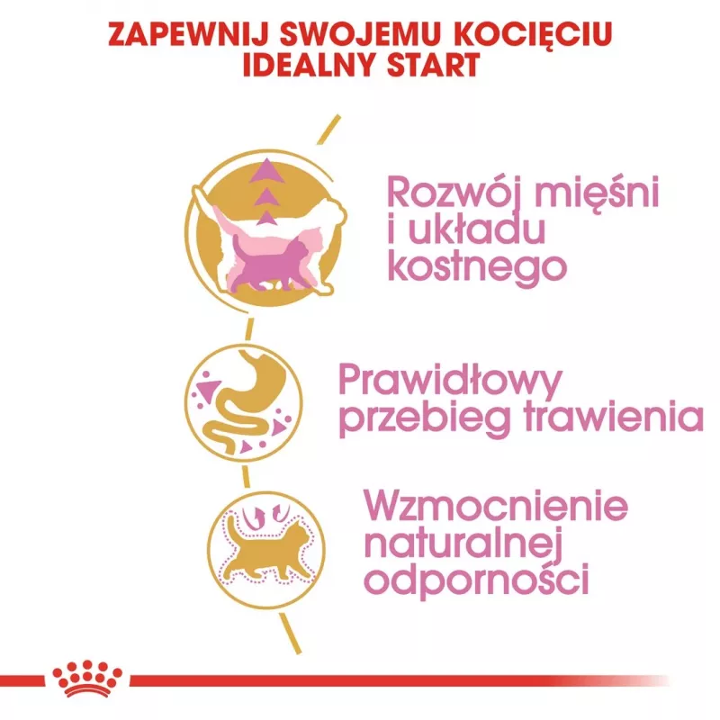 Sausas kačių ėdalas Royal Canin British Shorthair Kitten 2 kg – vištiena, 38% baltymų, 20% riebalų, augimo formulė