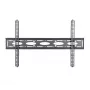Monitorio laikiklis prie sienos, sunkiasvoris, Heavy Duty BT9903/B V2