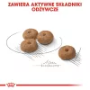 Sausas šunų ėdalas Royal Canin MINI Sterilised – suaugusiems mažų veislių šunims 8 kg, vištiena, dantų priežiūra, svorio kontrolė