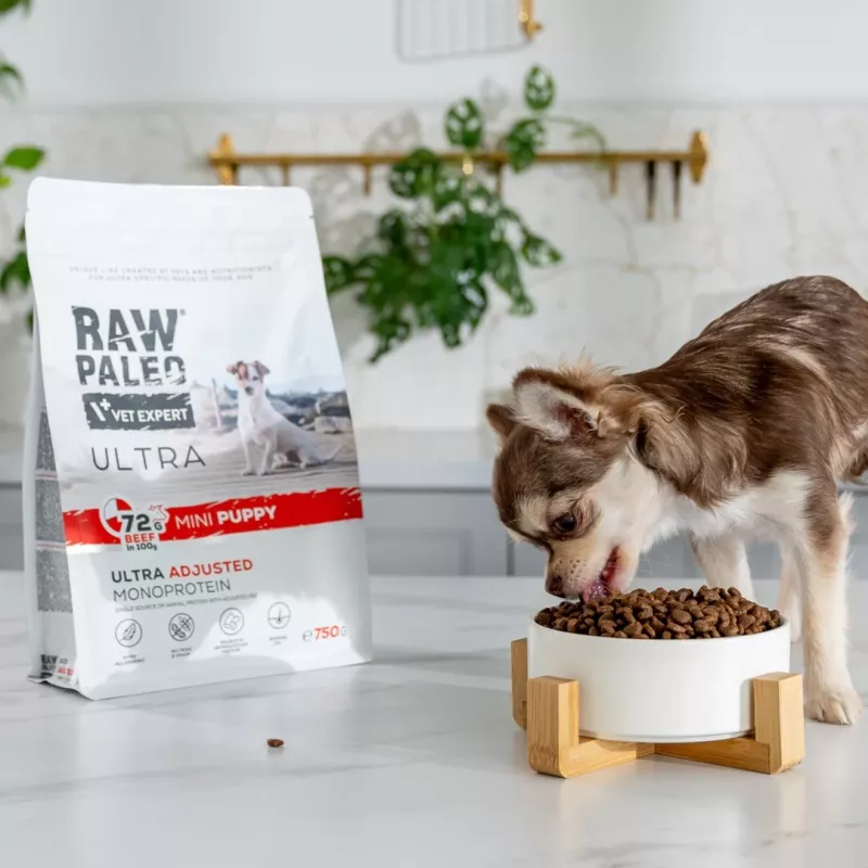 VETEXPERT RAW PALEO Ultra Mini Puppy su jautiena, sausas šuniukų ėdalas mažoms veislėms, 2 kg