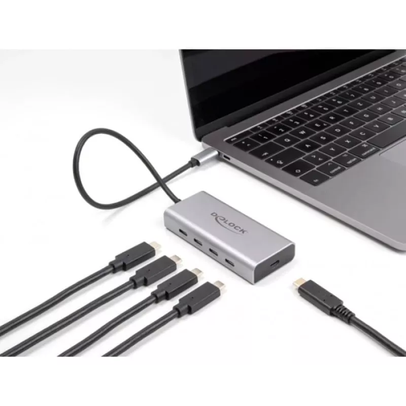 DeLOCK USB 3.2 Gen 2 šakotuvas USB-C 4 prievadai PD 85W 30cm