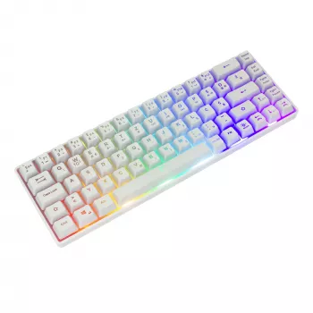 Klaviatūra White Shark RONIN balta USB QWERTY 68 klavišų LED