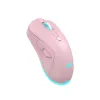 Belaidė pelė Baracuda BGM-124 Turtle Pink TURTLE-P