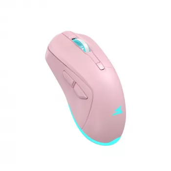 Belaidė pelė Baracuda BGM-124 Turtle Pink TURTLE-P