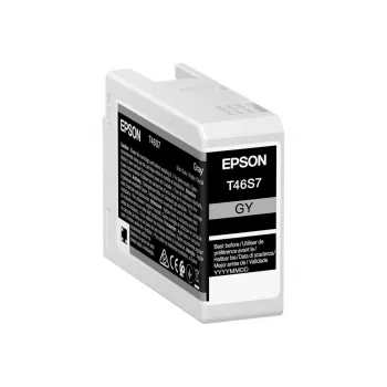 Originalus Epson UltraChrome Pro 10 T46S7 pilkas rašalo kasetė, skirta Epson spausdintuvams