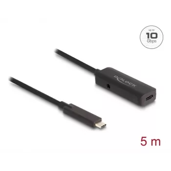 USB laidas DeLOCK 80028 5m USB-C juodas