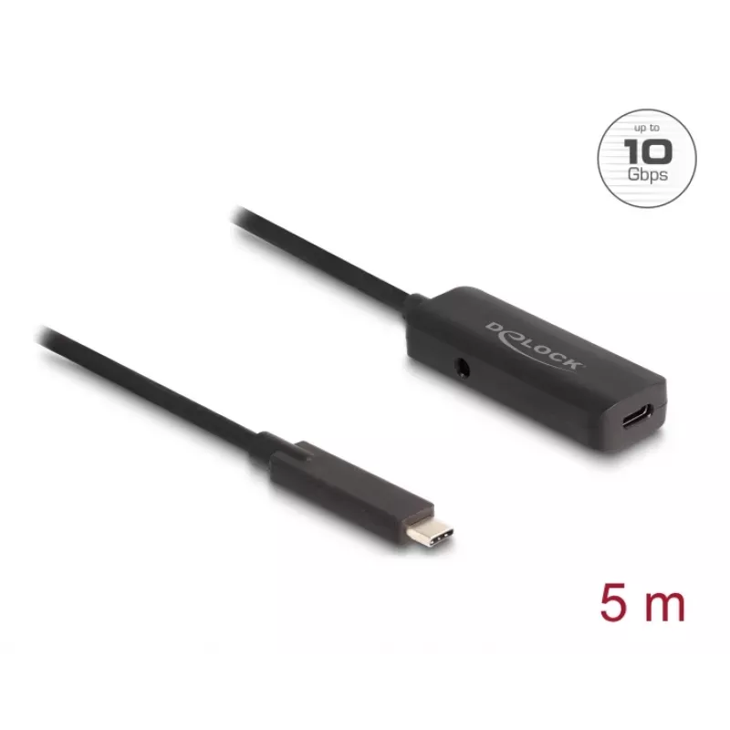 USB laidas DeLOCK 80028 5m USB-C juodas