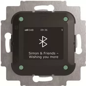 Busch-Jaeger Busch-Radio BTconnect DAB+ su Bluetooth sąsaja 8217 U-101 (2CKA008200A0278)
