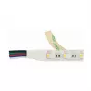 Synergy 21 LED Flex Strip 5050 - 60 RGB DC24V + RGB-W vieno lusto šiltai balta IP68