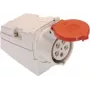As Schwabe 60432
