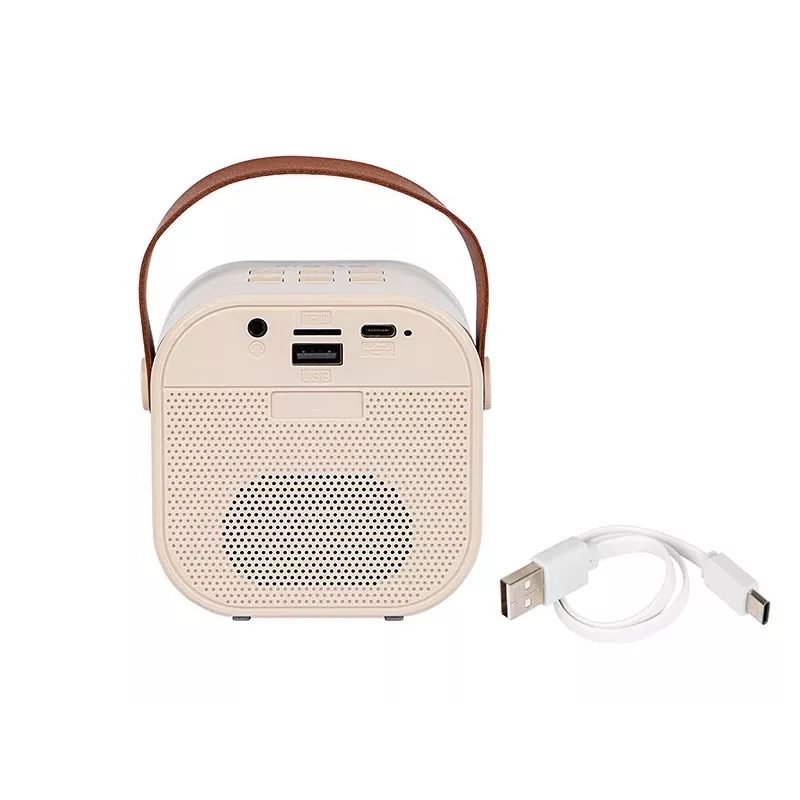 BLOW KARAOKE RGB Bluetooth garsiakalbis, 30W