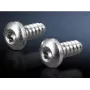Varžtų komplektas Rittal 2486.600 — šešiabriauniai varžtai skardai, Ø 5,5 mm, sriegio ilgis 13 mm, 300 vnt.