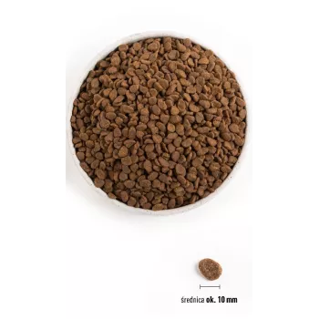 ORIJEN Six Fish Cat – sausas kačių ėdalas, 5,4 kg