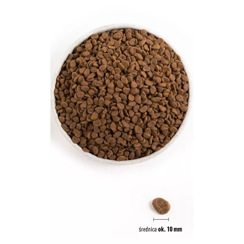 ORIJEN Six Fish Cat – sausas kačių ėdalas, 5,4 kg