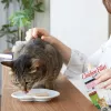 INABA Ciao keptienos filė gabalėliai vištienos skonio sultinyje - skanėstai katėms - 25g