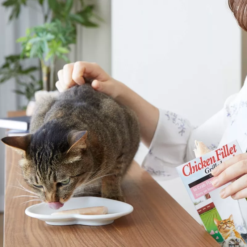 INABA Ciao keptienos filė gabalėliai vištienos skonio sultinyje - skanėstai katėms - 25g