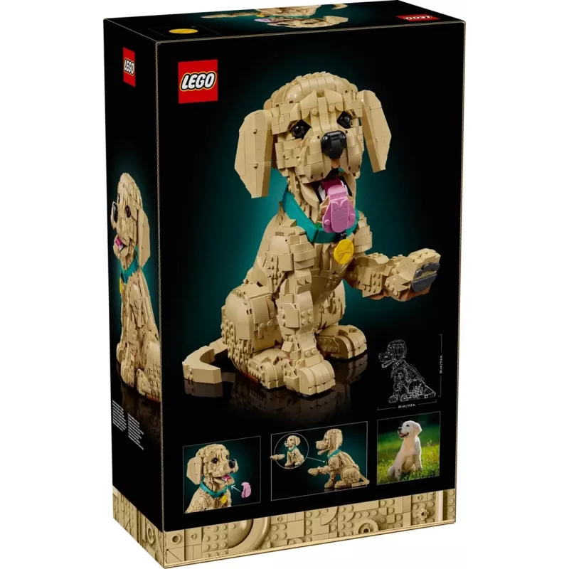 LEGO ICONS 11384 Auksaspalvis retriveris šuniukas