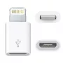 Adapteris USB Micro – Lightning