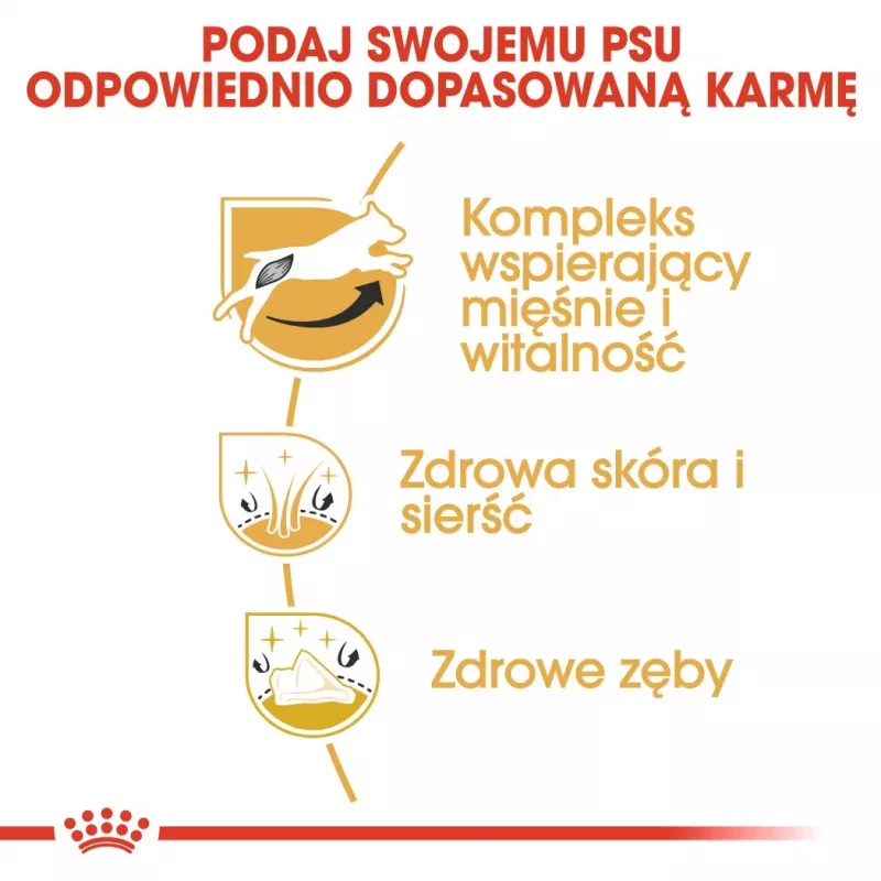 ROYAL CANIN Jack Russell Adult - Sausas šunų maistas - 7,5 kg