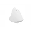 NATEC Crake 2 pelė universali Dešiniajai rankai RF belaidė + Bluetooth optinė 2400 DPI