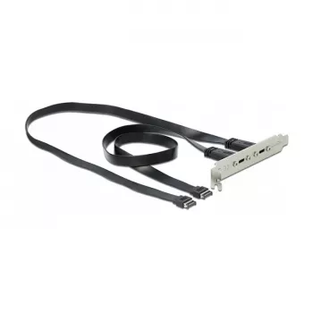 DeLOCK 89935 lizdo laikiklis su 2 x USB Type-C prievadais