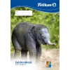 Meninis popieriaus bloknotas Pelikan 224840