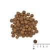 Sausas šunų ėdalas šuniukams VETEXPERT Raw Paleo Healthy Grain Puppy Salmon and Barley 10 kg, baltymai 29%, riebalai 17%, drėgmė 9%