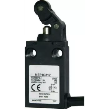 Panasonic galinis jungiklis 24 V 5 A ritininis svirtinis MEP1G31Z IP67 1 vnt.