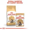 Sausas ėdalas katėms Royal Canin Maine Coon Adult 10 kg – paukštiena (vištiena), 31% baltymų, 20% riebalų