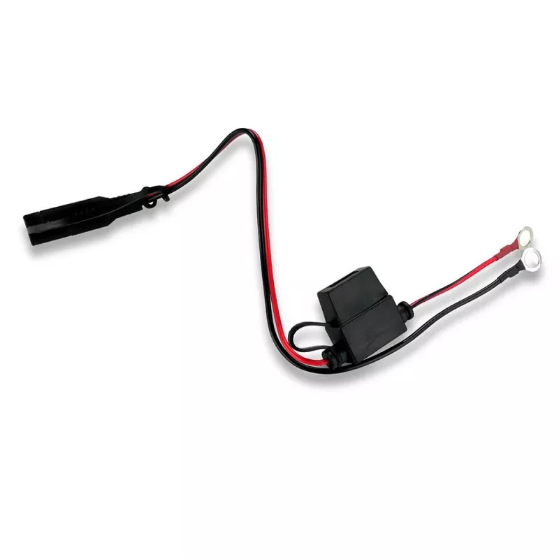 Automobilio akumuliatoriaus įkroviklis everActive CBC1 6V/12V