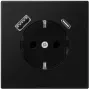 Jung LS1520-15CASWM jungiklis