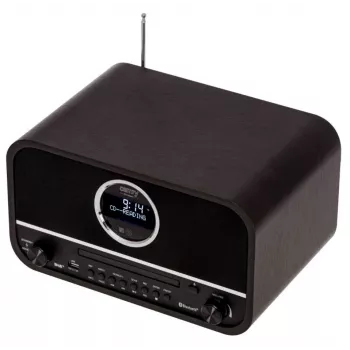 Radijo imtuvas Camry CR 1182
