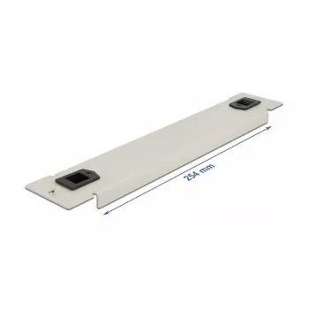 Aklinis skydelis DeLOCK 10 colių tinklo spintelei 66629