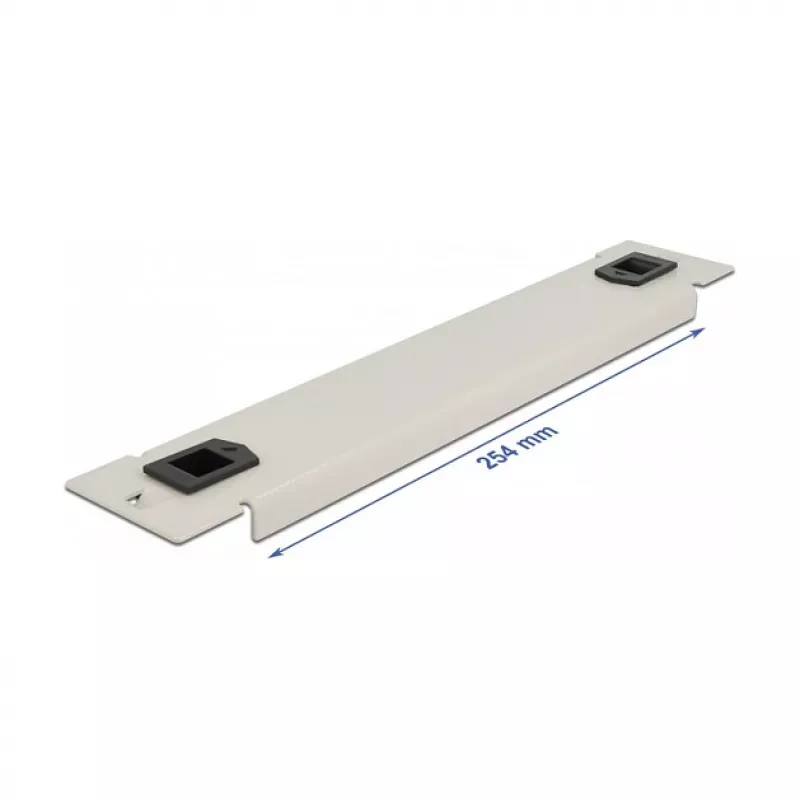 Aklinis skydelis DeLOCK 10 colių tinklo spintelei 66629