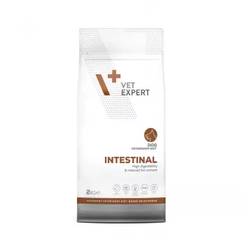 VET EXPERT Veterinary Diet Intestinal Dog sausas šunų ėdalas - 2 kg
