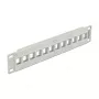 Patch panel DeLOCK 43309 12 prievadų, 10 inch