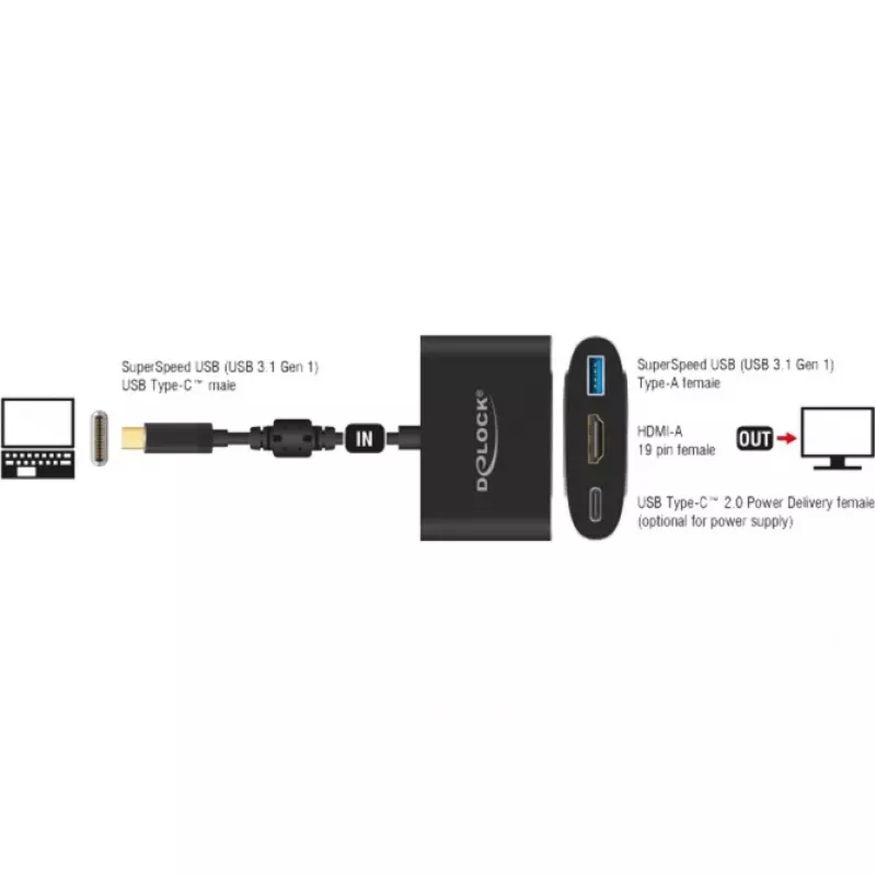 DeLOCK išorinis vaizdo adapteris VL101 USB-C 3.1 – HDMI pilka (62991)
