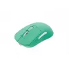 Belaidė pelė Fury Tanto T4 Mint Green – reguliuojamas DPI, USB imtuvas, ergonomiškas dizainas