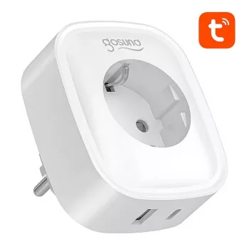 Gosund SP6 16A su USB-C 20W išmanusis kištukas
