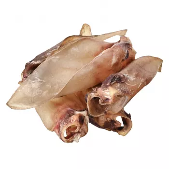Šunų skanėstai PETITTO jaučio ausis su kremzle — pakuotė po 10 vnt., vieno ingrediento kramtomi užkandžiai